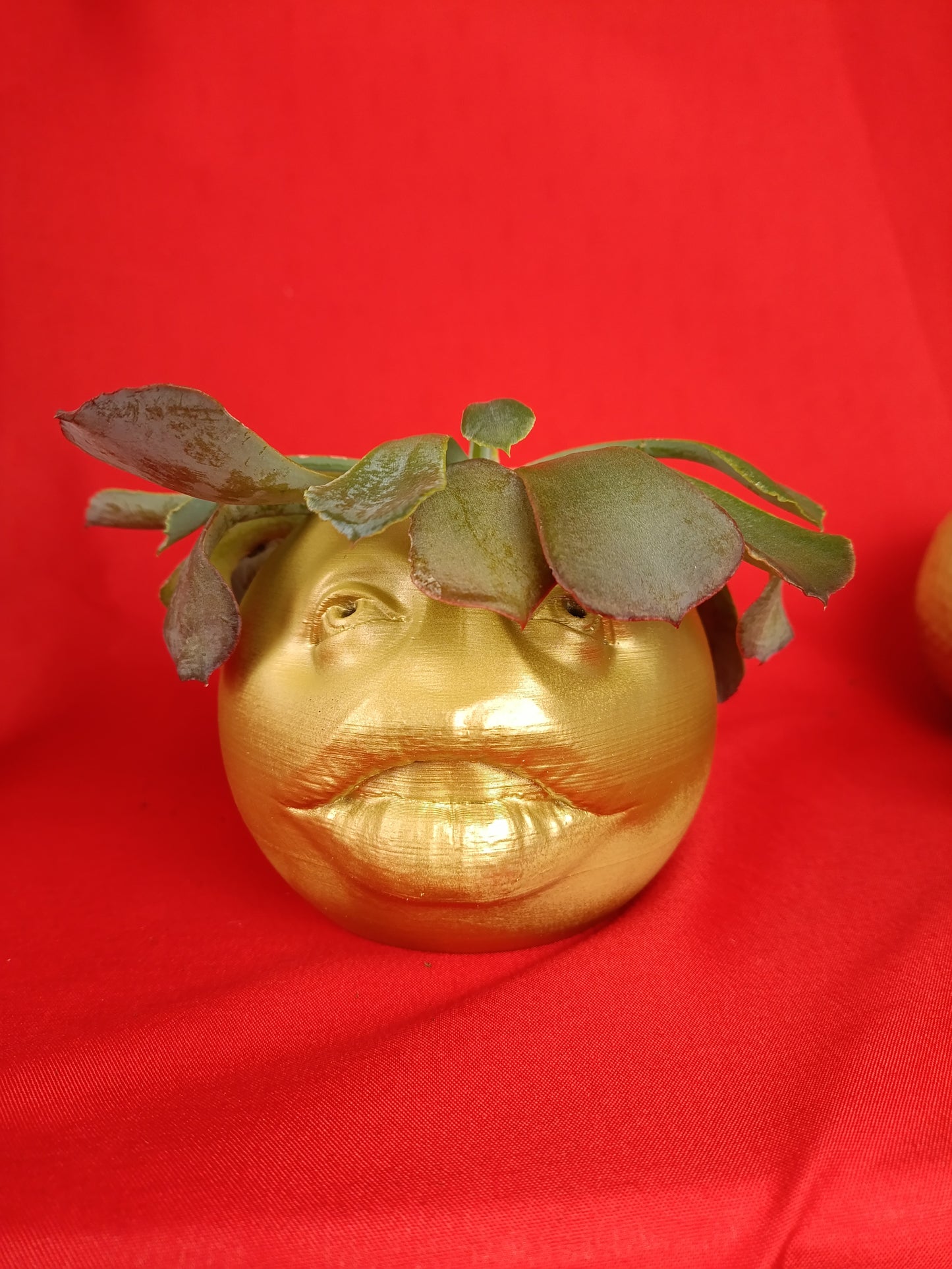 Funny Planter with Quirky Face Design – Add a Touch of Humor to Your Space