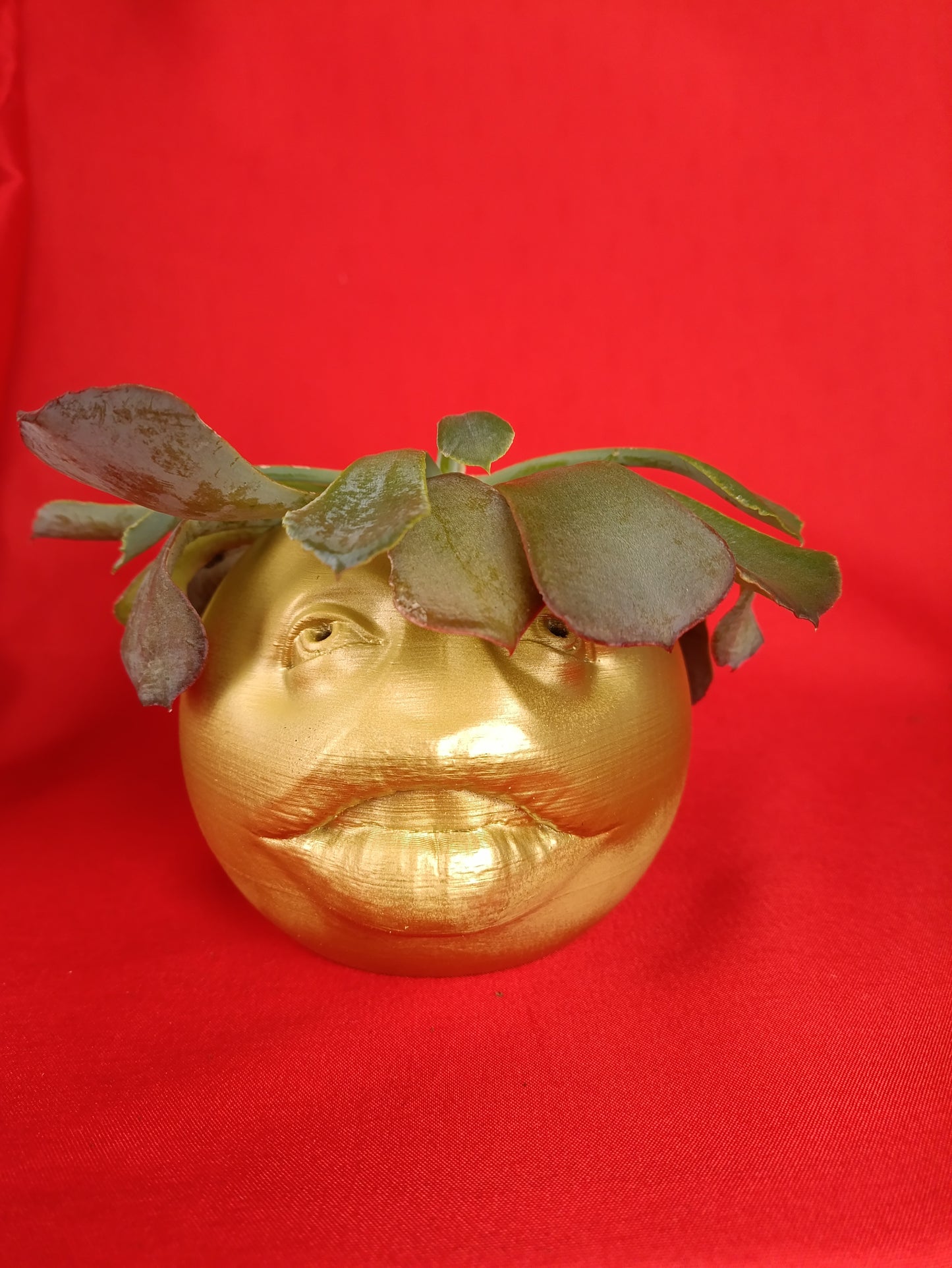 Funny Planter with Quirky Face Design – Add a Touch of Humor to Your Space