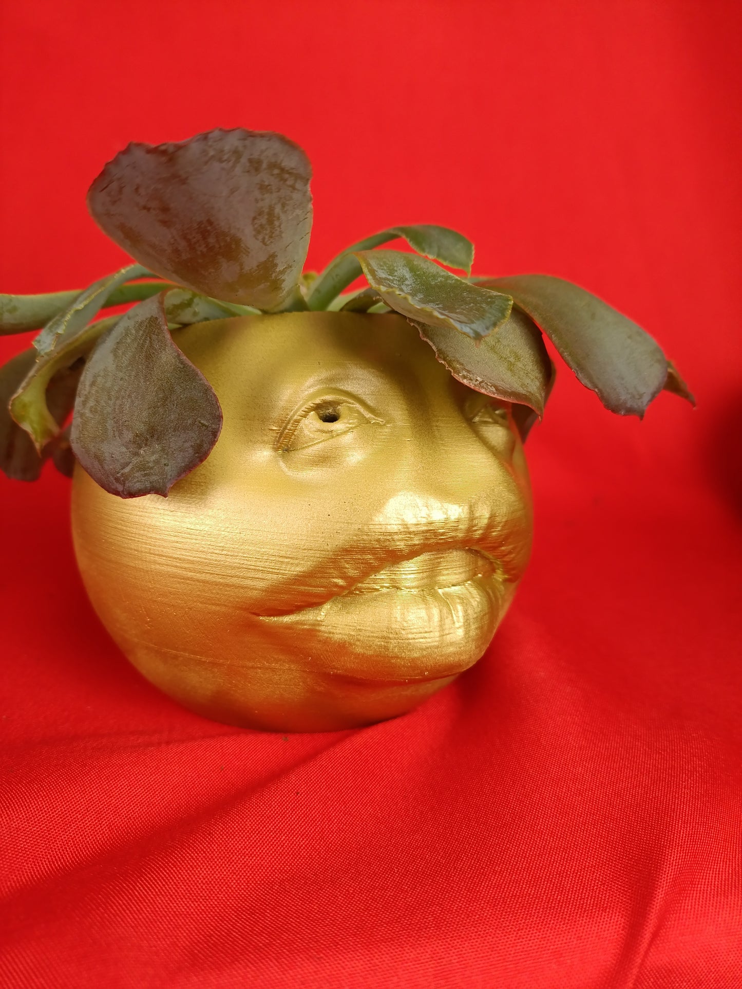 Funny Planter with Quirky Face Design – Add a Touch of Humor to Your Space