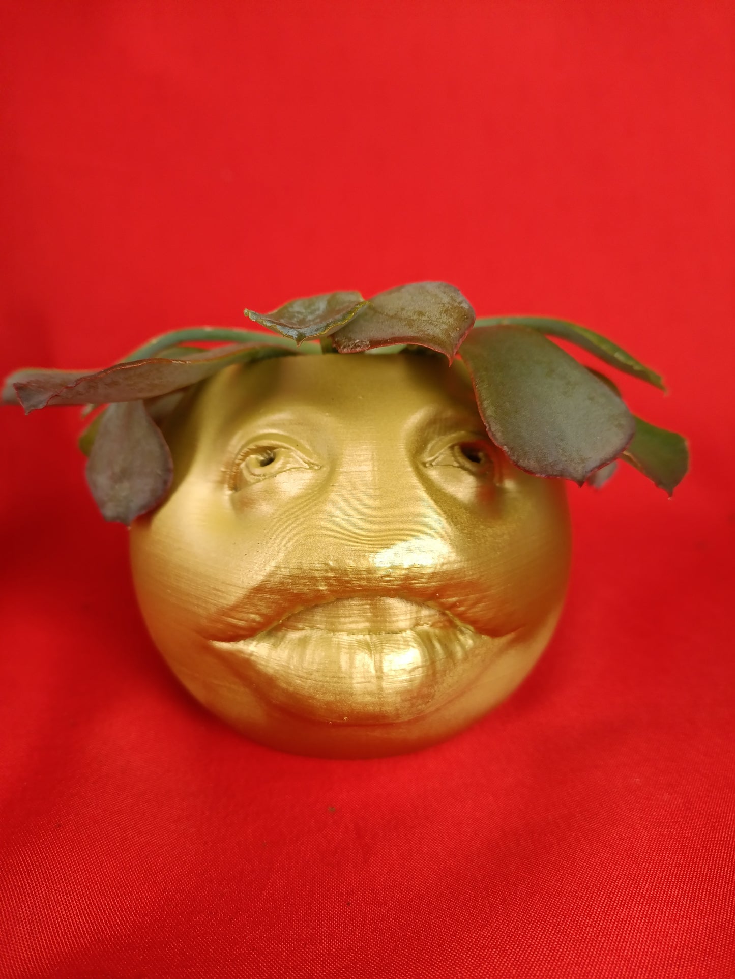 Funny Planter with Quirky Face Design – Add a Touch of Humor to Your Space