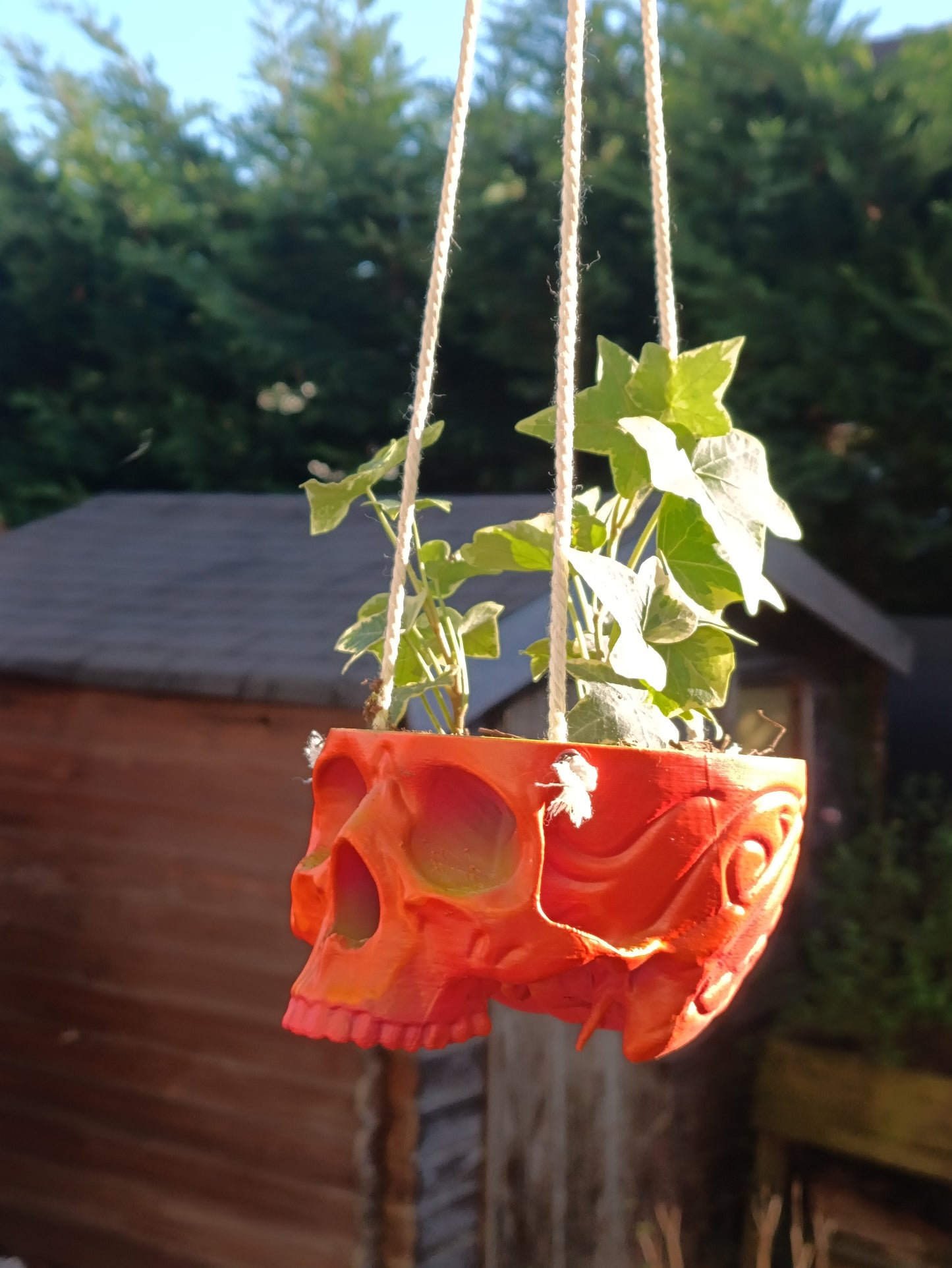 Skull-Shaped Hanging Planter – Bold and Edgy Hanging Decor