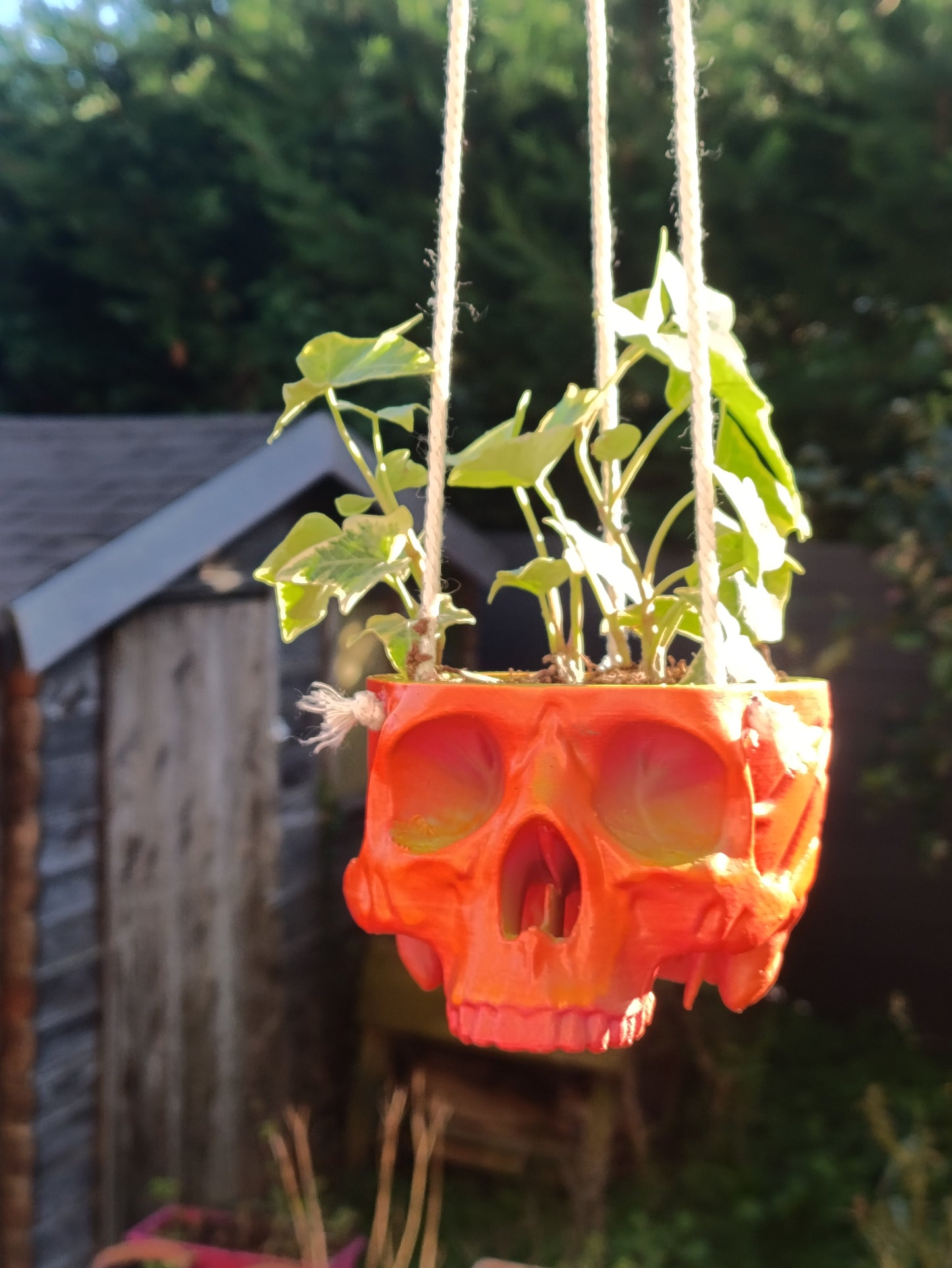 Skull-Shaped Hanging Planter – Bold and Edgy Hanging Decor