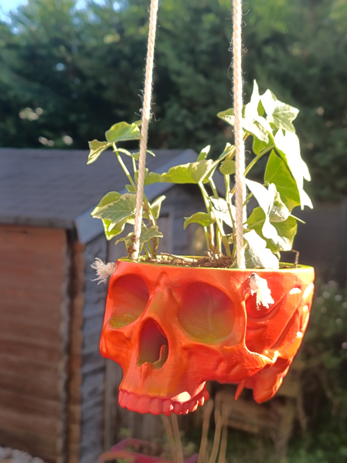 Skull-Shaped Hanging Planter – Bold and Edgy Hanging Decor