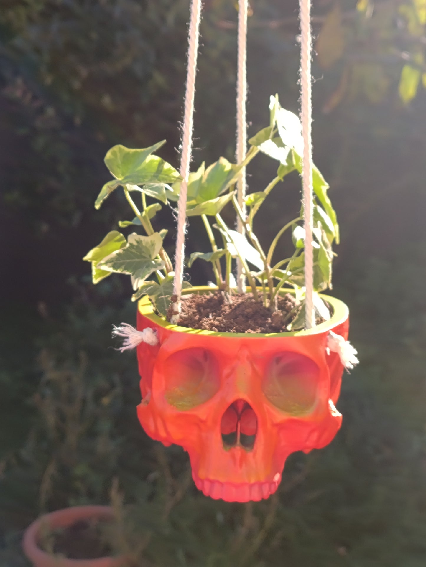 Skull-Shaped Hanging Planter – Bold and Edgy Hanging Decor