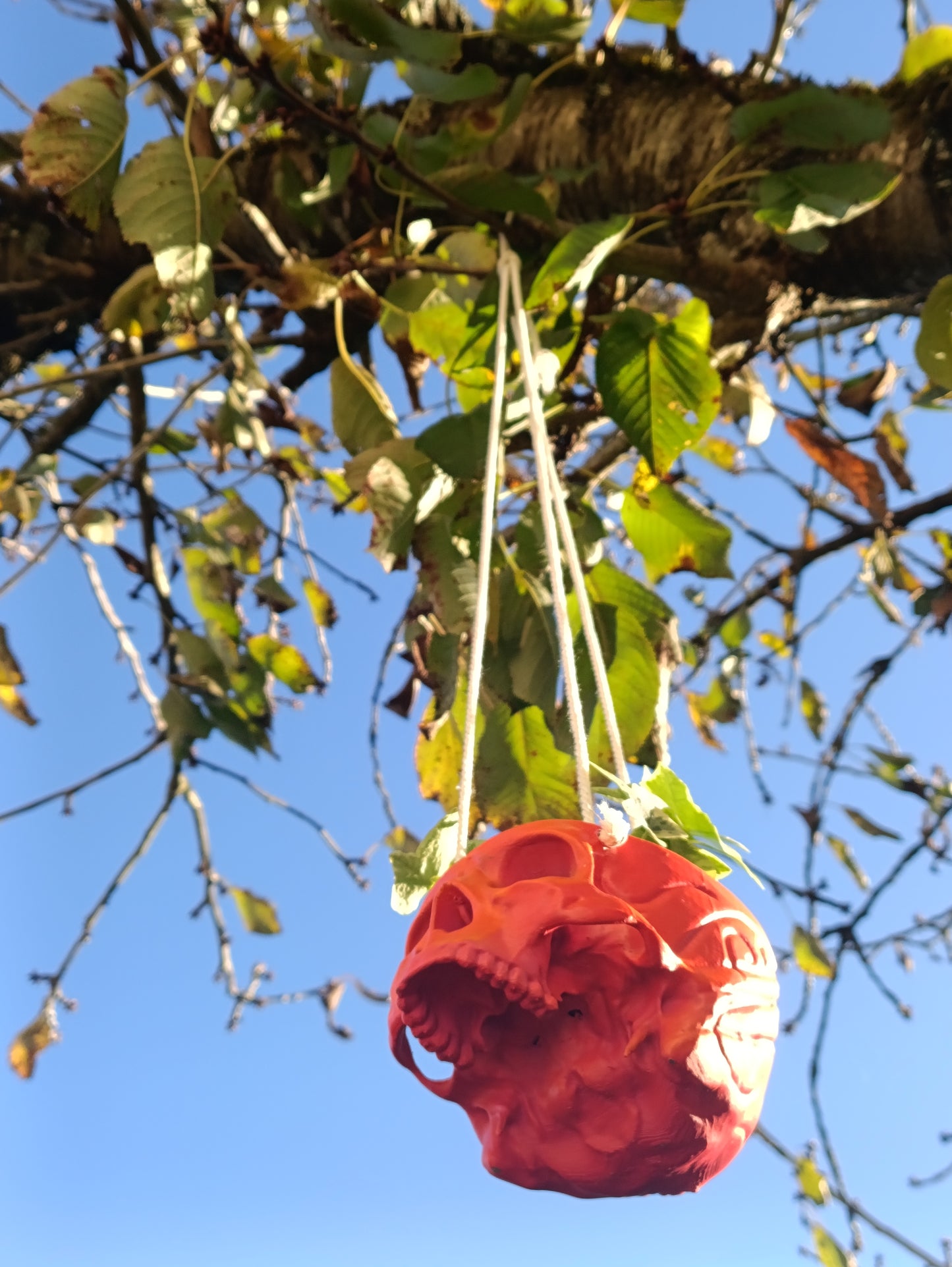 Skull-Shaped Hanging Planter – Bold and Edgy Hanging Decor