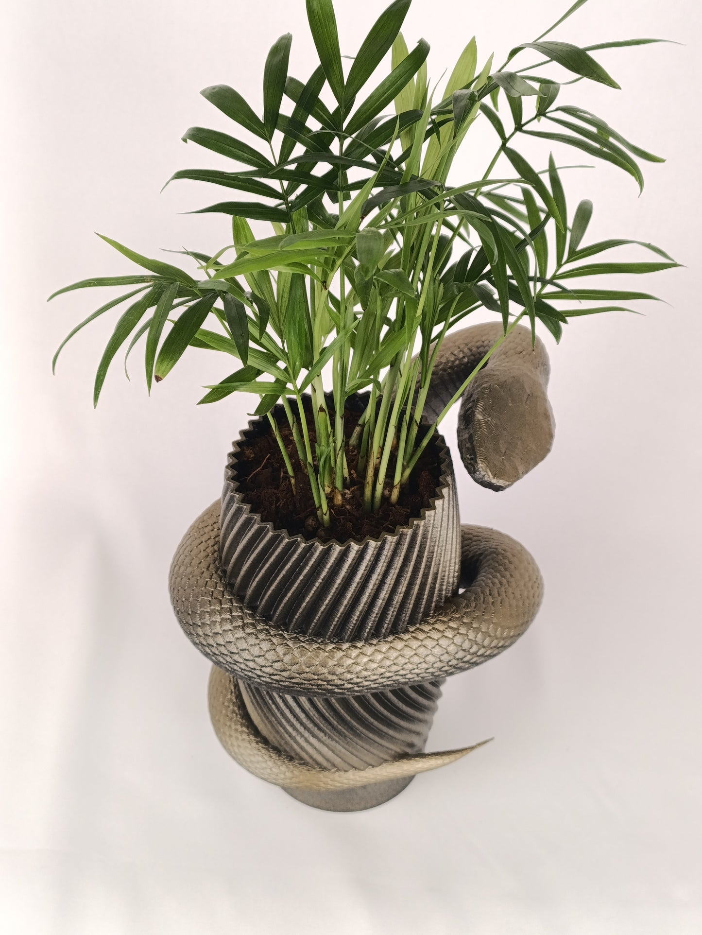 Vertical Snake Planter – Unique and Eye-Catching Home & Garden Decor