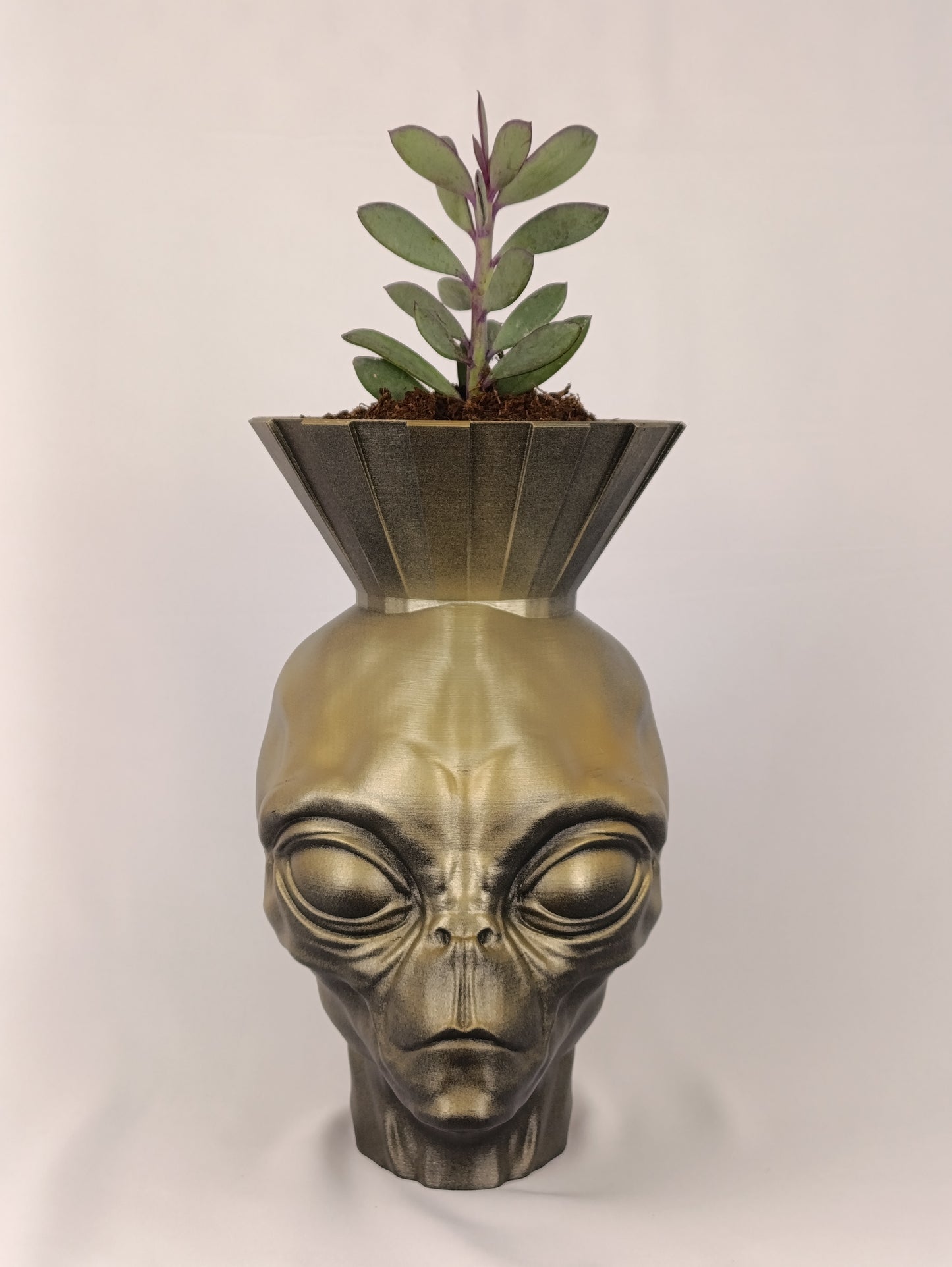 Alien Head Planter – Futuristic and Bold Decor for Home or Garden