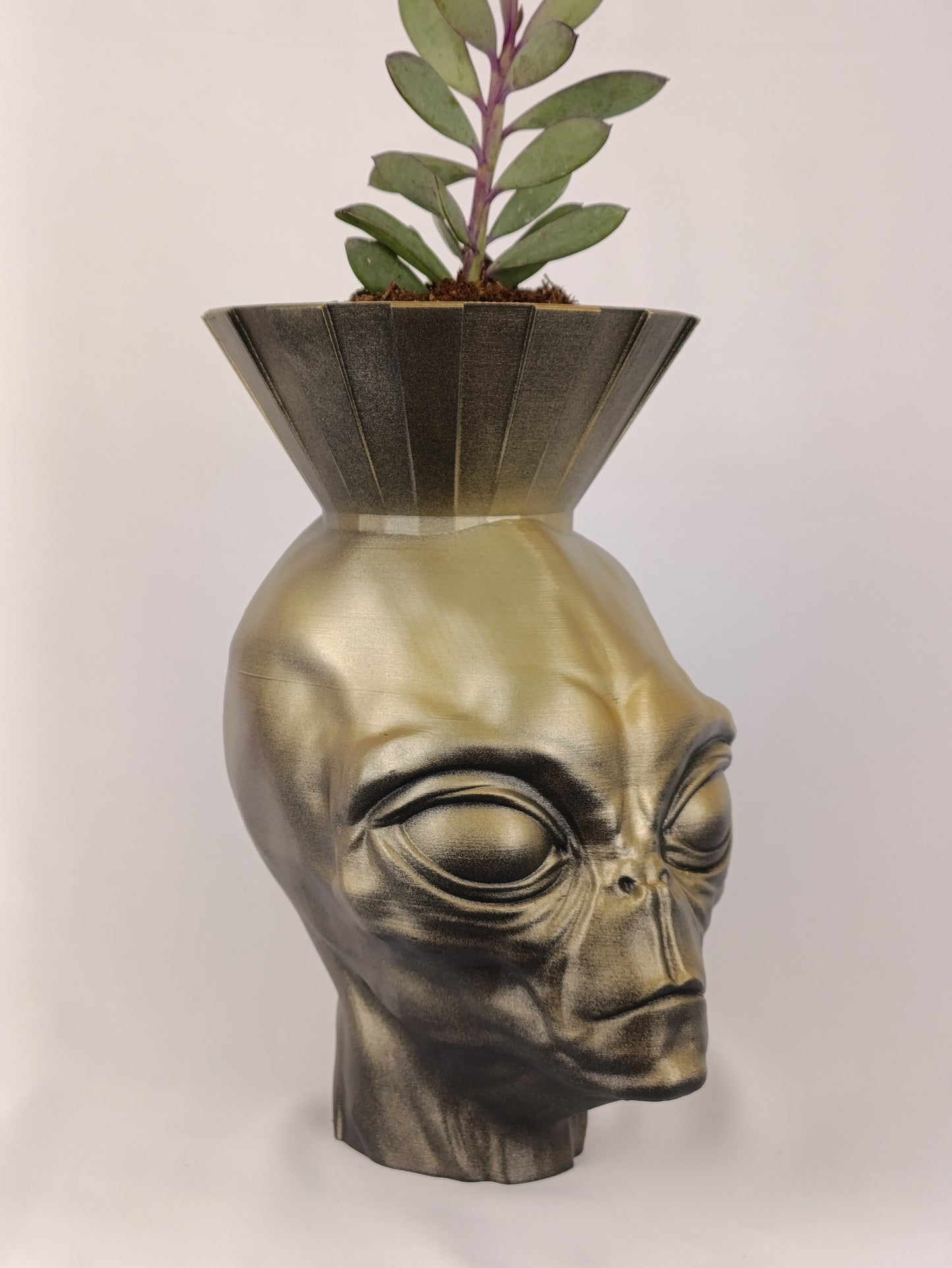 Alien Head Planter – Futuristic and Bold Decor for Home or Garden