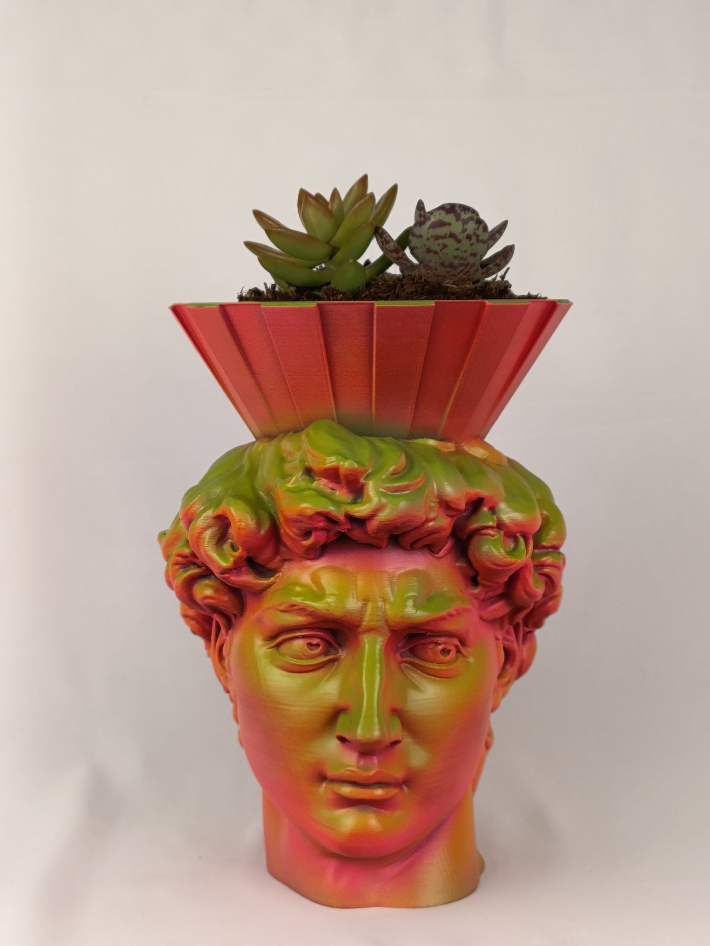 David Head Planter – Classic Art Meets Modern Decor