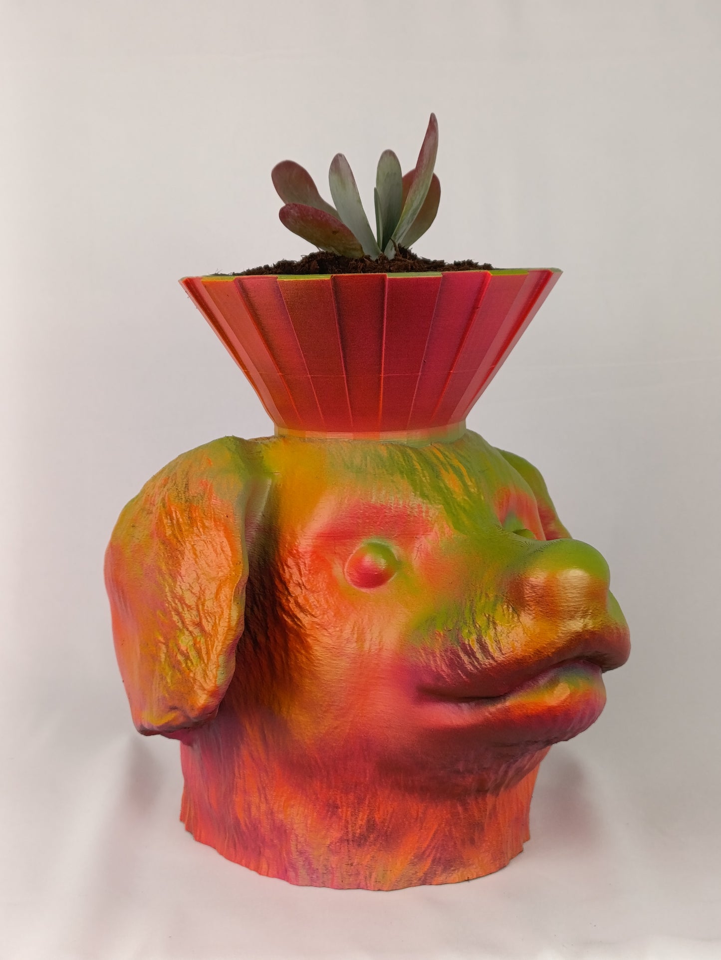 Dog Head Shaped Planter – Playful and Unique Decor for Your Plants