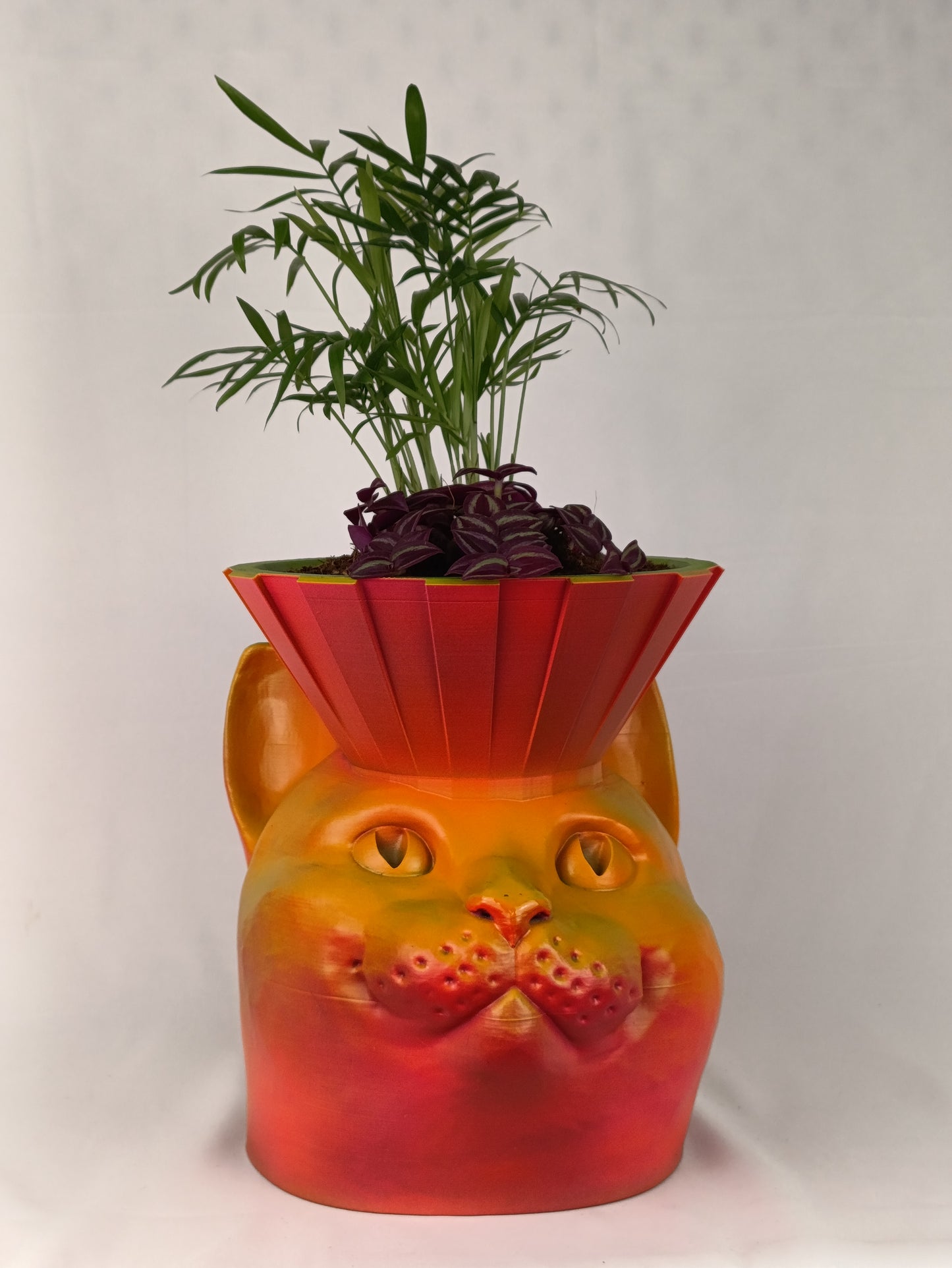 Cat Head Shaped Planter – Adorable and Stylish Plant Holder