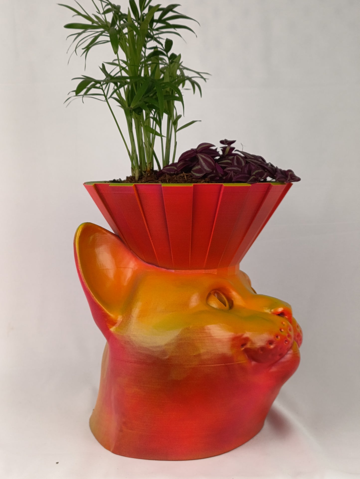 Cat Head Shaped Planter – Adorable and Stylish Plant Holder