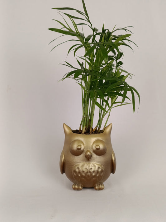 Cute Owl Planter – Adorable and Whimsical Home & Garden Decor