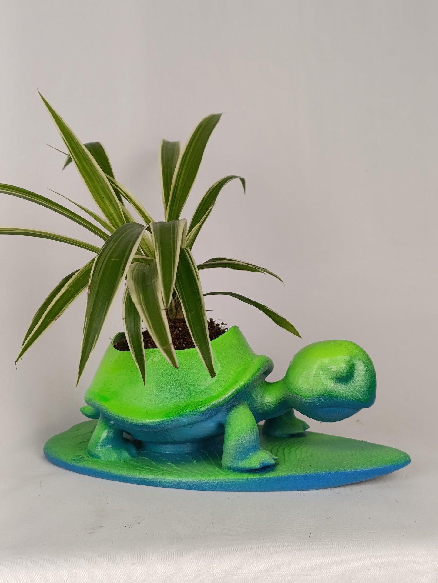 Cute Turtle on Surfboard Planter – Fun and Playful Beach-Themed Decor