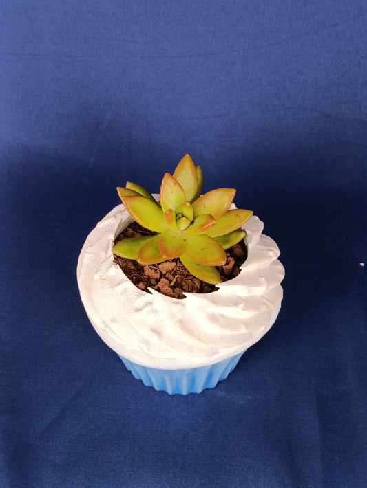 Cupcake Planter – Sweet and Whimsical Home & Garden Decor